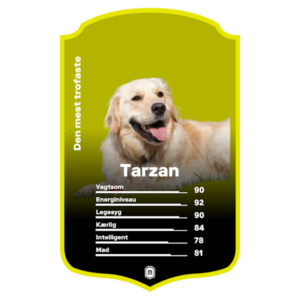 Hund